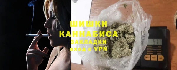 гидра Богородицк