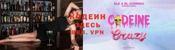 гидра Богородицк