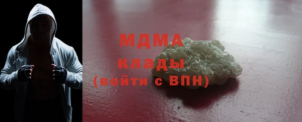гидра Богородицк