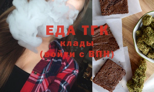 гидра Богородицк