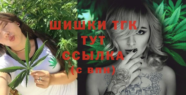 гидра Богородицк