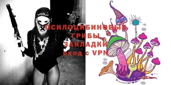 гидра Богородицк
