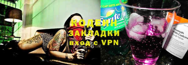 гидра Богородицк