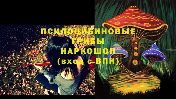 сатива Богородск