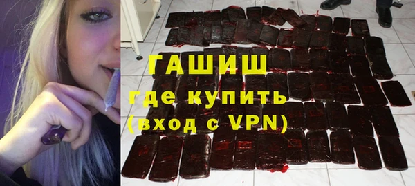 гидра Богородицк