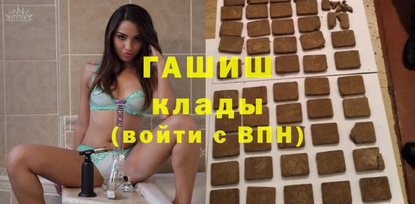 гидра Богородицк