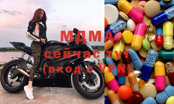 гидра Богородицк