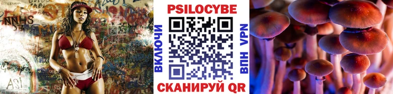 Псилоцибиновые грибы Psilocybe  Карабаш 
